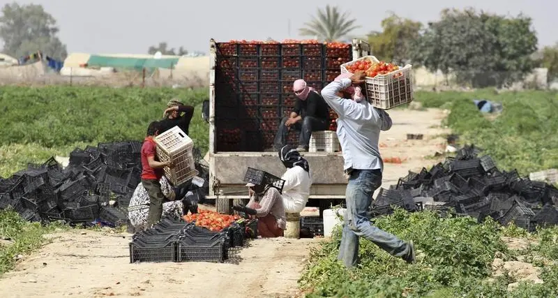 Facing poverty, Jordan Valley’s agricultural workers suffer under heatwave
