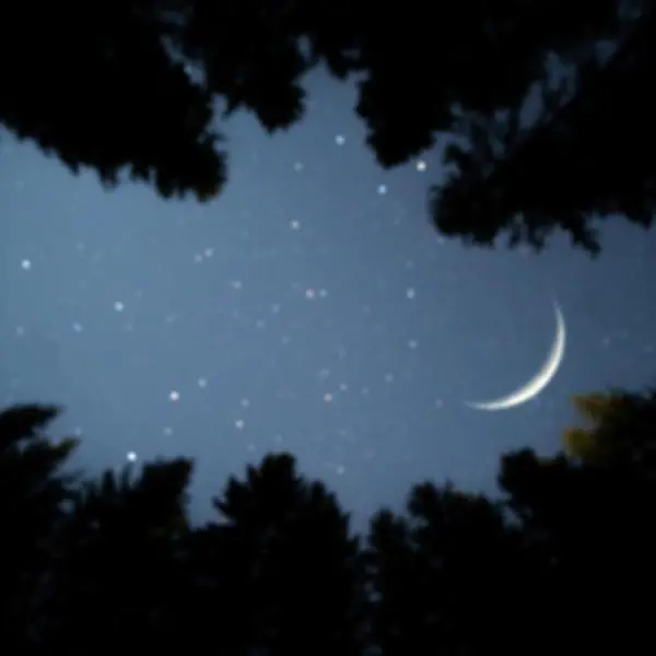 Eid Al Adha 2023: Saudi Arabia calls on all Muslims to search for crescent moon on Sunday night