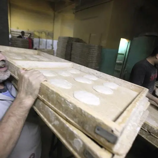 Egg prices stable at $3.08–$3.18 per tray in Egypt on August 27th