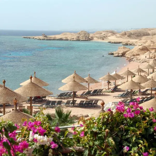 3 firms eye launching private free zones in New Cairo, Sharm El Sheikh