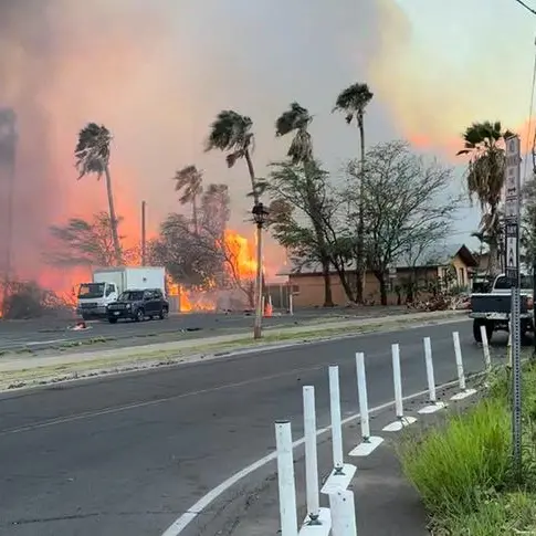 Fast-moving Hawaii wildfire kills at least 36