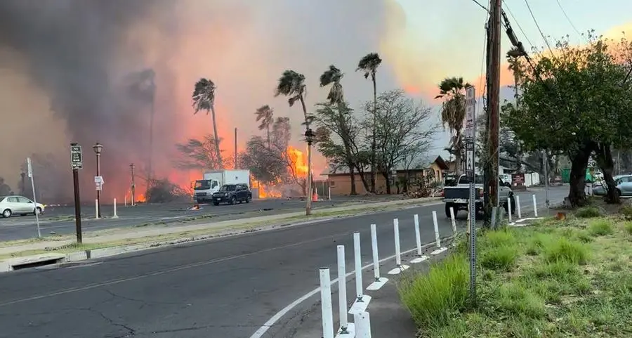 Fast-moving Hawaii wildfire kills at least 36