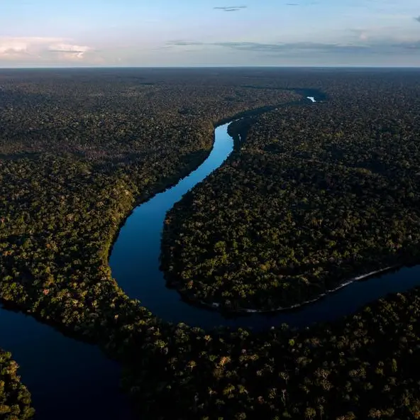 COP29: Environment takes centre stage as global summits loom