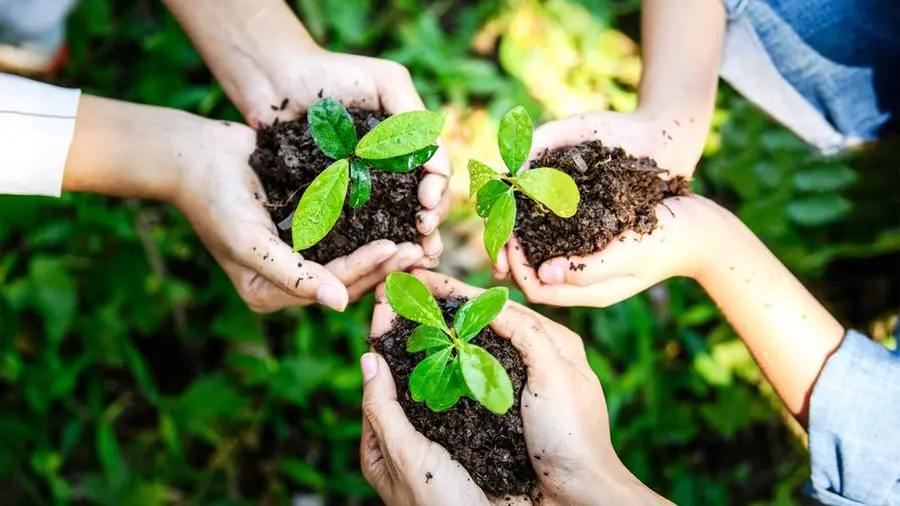 Egypt marks Earth Day 2026, highlights progress toward green economy