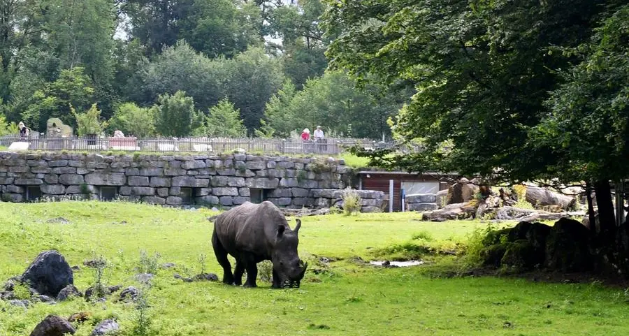 Rhino kills keeper, injures another in Austria zoo