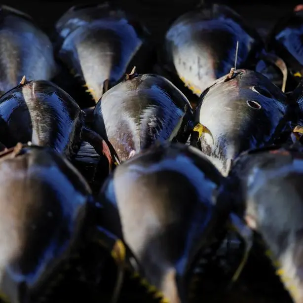 Oman issues consultancy tender for Duqm fisheries and food industrial zone expansion