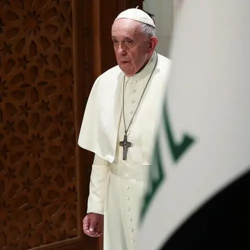 Pope urges world leaders to do more to tackle climate change