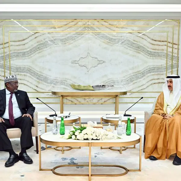 UAE, Somalia discuss parliamentary cooperation