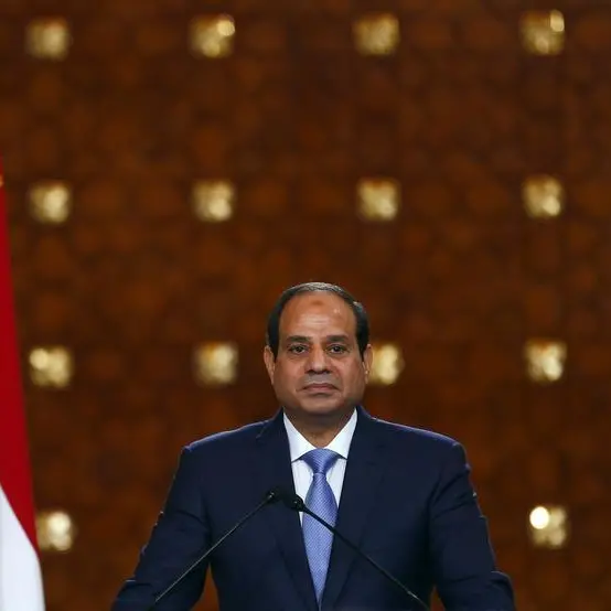 Egypt's Sisi discusses nuclear plant, grains trade with Russian officials