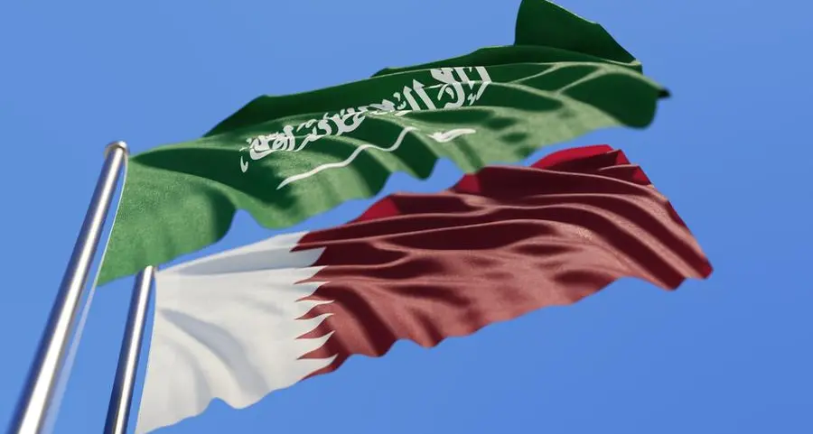 Qatar, Saudi Arabia review trade ties