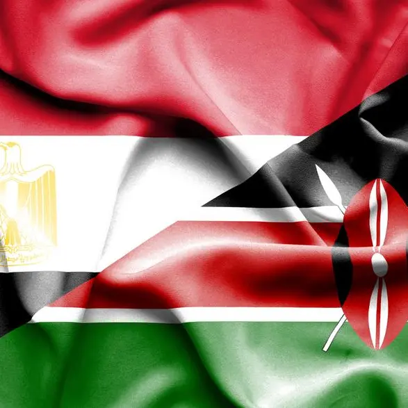 Egypt’s FM, Kenya’s PM discuss strengthening bilateral ties, shared interests