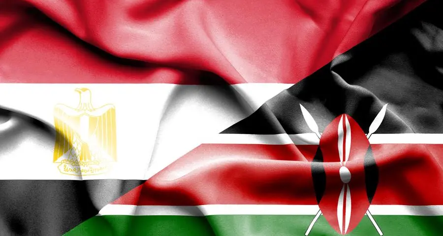 Egypt, Kenya sign 12 agreements to strengthen bilateral ties