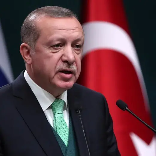 Turkey's Erdogan postpones White House visit