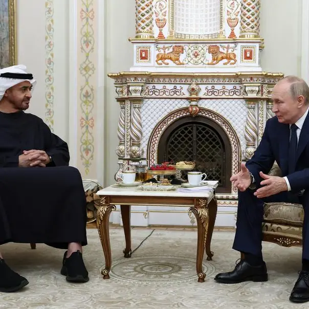 UAE, Russian Presidents discuss strategic partnership, regional, international issues in Moscow