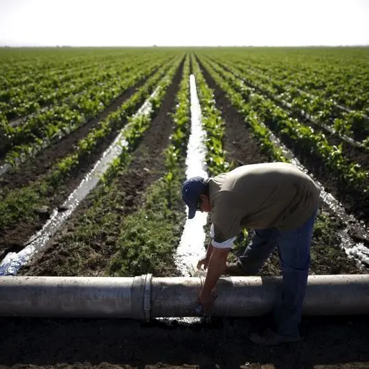Saudi Arabia’s NWC to award water infrastructure contract in Q2 2025