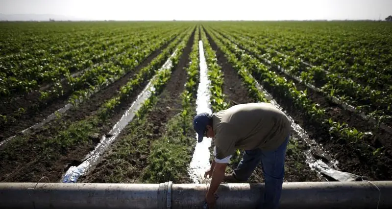 Saudi Arabia’s NWC to award water infrastructure contract in Q2 2025