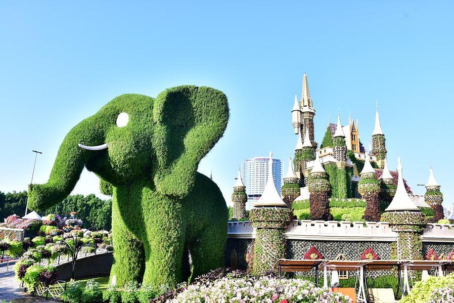 Dubai Miracle Garden opens for Season 11 with new attractions