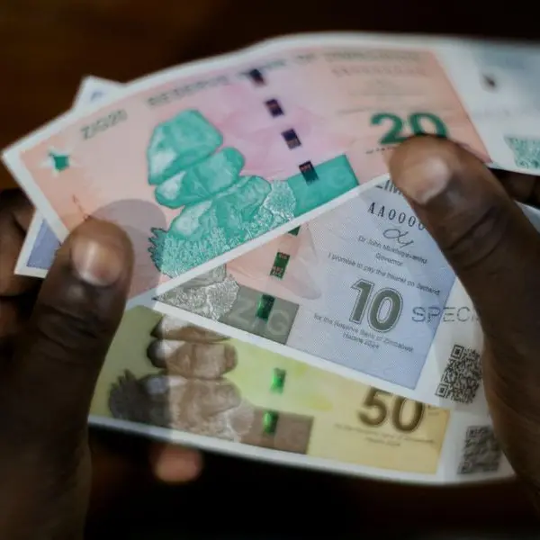 Zimbabwe authorities troubled by tumbling new currency