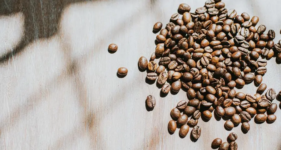 'Reef Saudi' allocates $16.2mln to boost coffee production to 7,000 tons annually