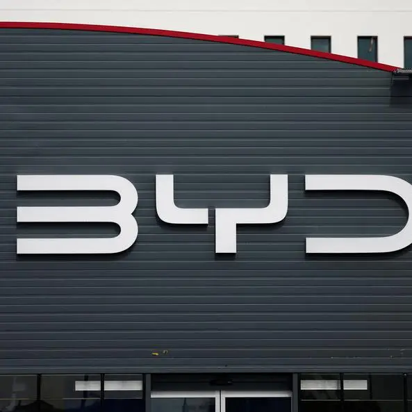 China's BYD slows down plans for EV factory in Vietnam, industrial park says