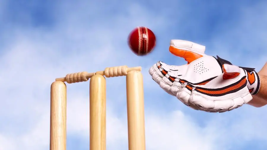 India lost the final, but earned new admirers, says Dubai cricket coach