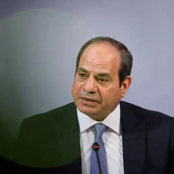 Egypt’s Al-Sisi, Eriteria’s Afwerki discuss bilateral relations, regional stability