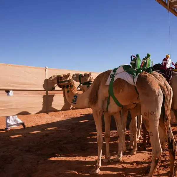 AlUla's 'Ships of the Desert' shine in Saudi Arabia's Year of the Camel