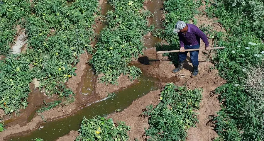 Revived reservoir a lifeline for Syria farmers