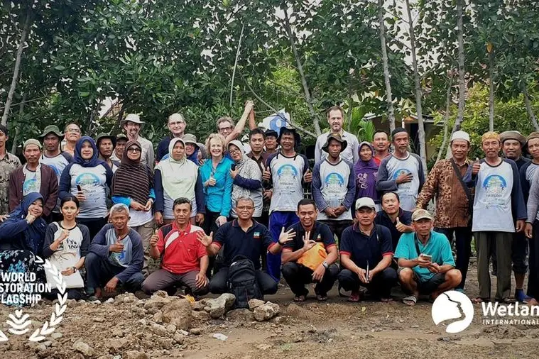 Witteveen+Bos receives United Nations Award for mangrove restoration in Indonesia