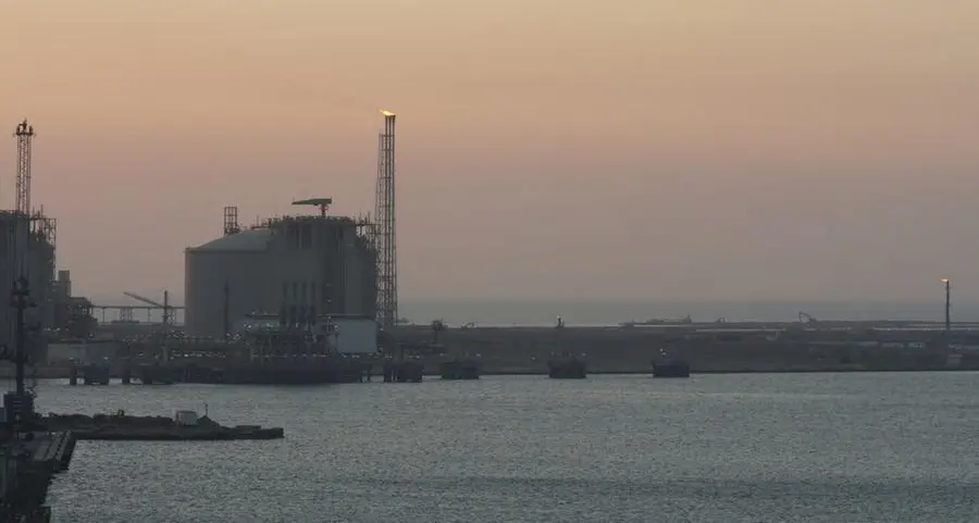 Egypt's PM reviews LNG infrastructure readiness at Ain Sokhna Port