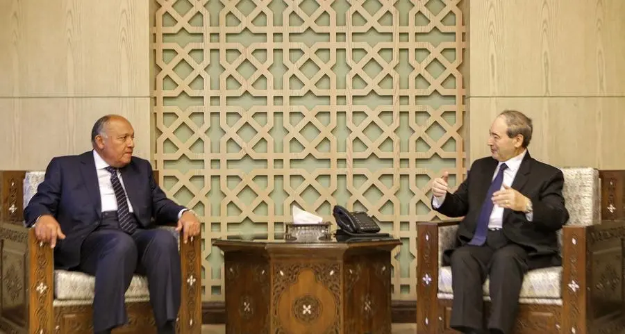 مٌحدث: تقارب عربي وتركي.. ما وراء زيارة وزير الخارجية السوري للقاهرة - مصادر