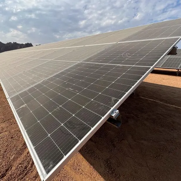 Chinese LONGi to supply solar cells worth $500mln for Egypt in 2025