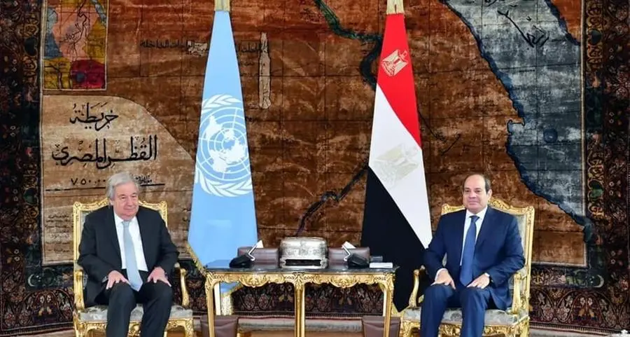Egyptian President, UN Secretary-General discuss regional, international developments
