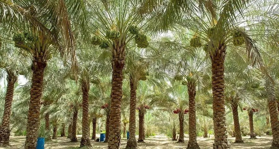 UAE: Al Sila Veterinary and Agricultural Services Centre opens