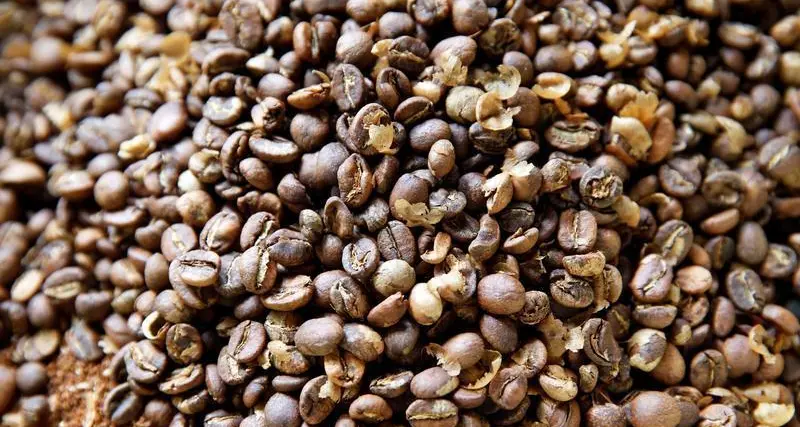 Uganda exported record volume of coffee in August, regulator says
