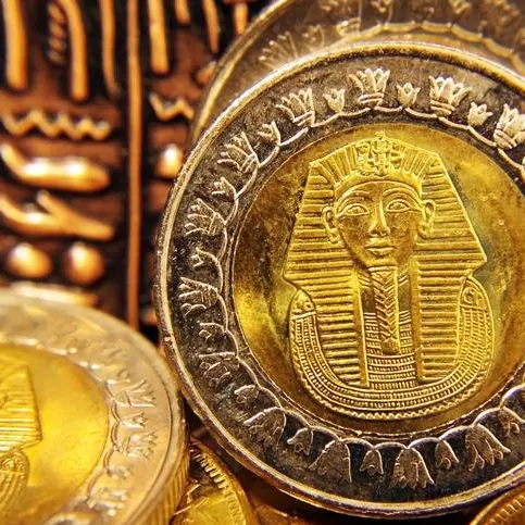 FABMISR reports net profits of EGP 8.2bln for nine-month period ending in September 2023