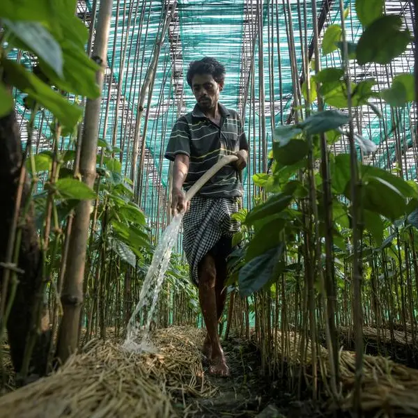 Climate change is making temperatures deadlier, food less reliable, experts warn