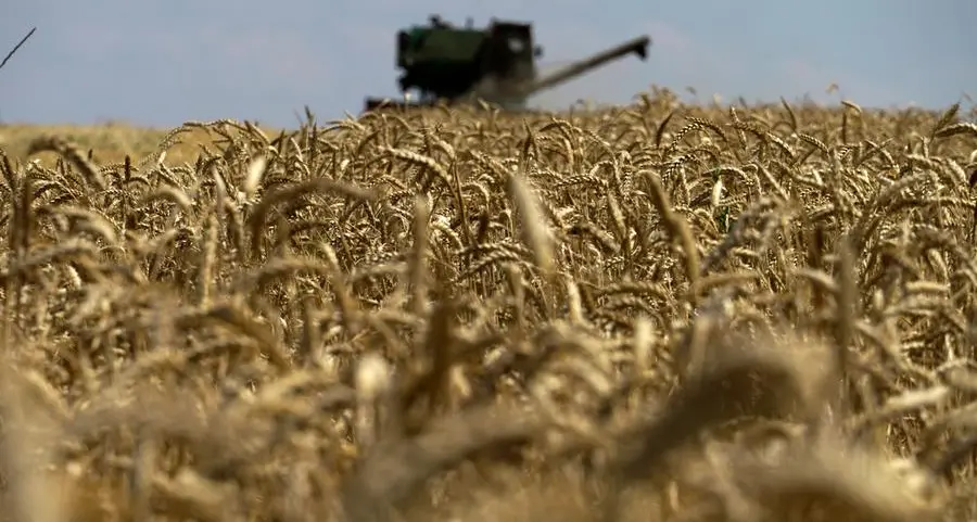 Hungary wants Ukrainian grain ban until the end of 2023, minister says