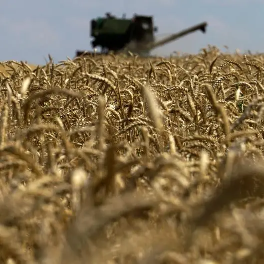 Ukraine keeping grain forecast despite poor weather, minister says