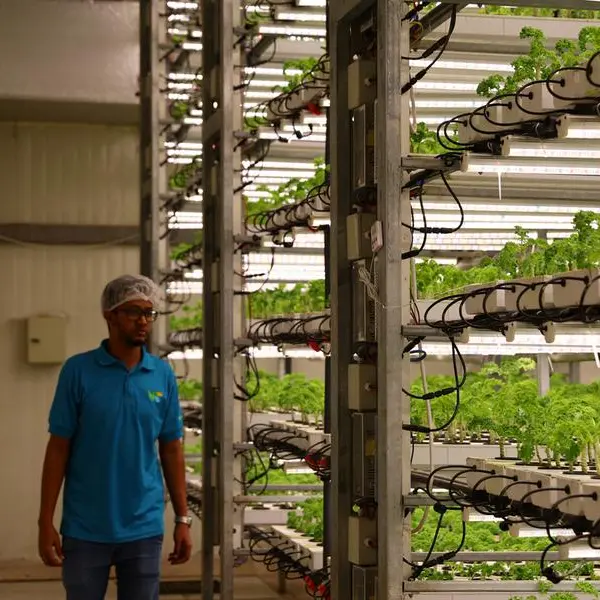 Vertical farming startup Plenty to expand via $680mln JV with UAE's Mawarid