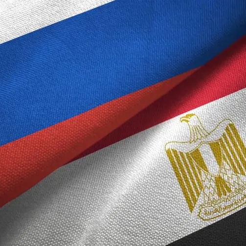 Egypt, Russia discuss progress on Dabaa nuclear plant project