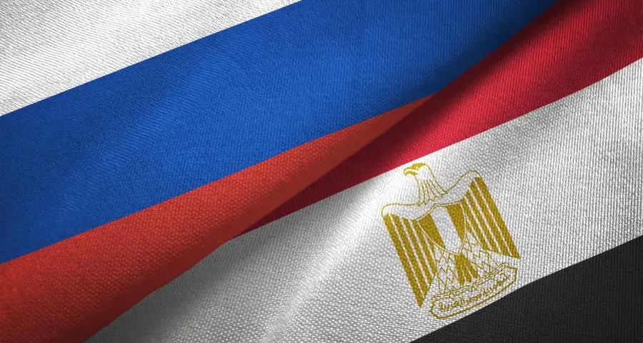 Egypt, Russia discuss progress on Dabaa nuclear plant project