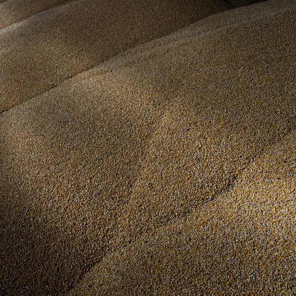Soy and corn prices ease as rains seen aiding US crops