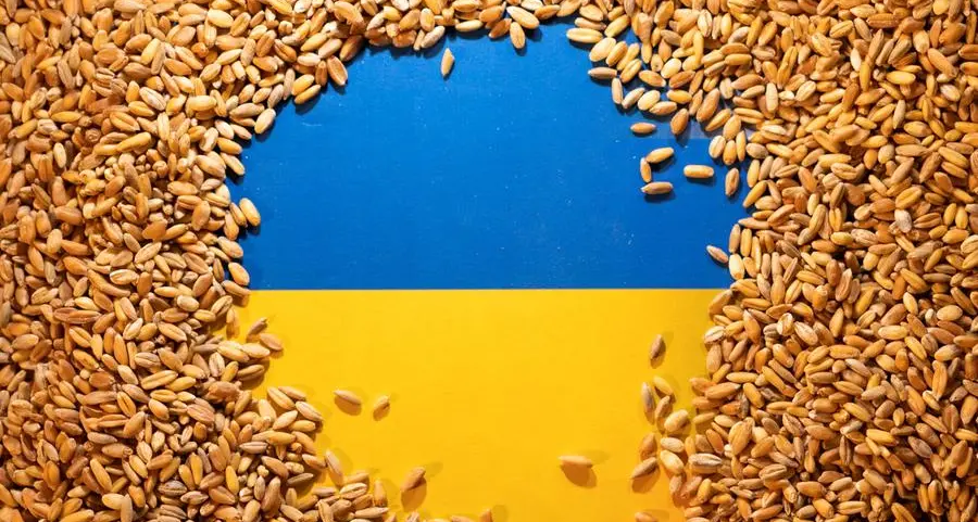 Ban on Ukraine grain by some EU states looks illegal - Spainish farm minister