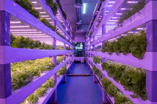 Crysp Farms, the GCC’s leading innovator and operator of decentralized vertical farms has secured a $2.25 million ‘Pre-Series A’ round structured and led by Gate Capital with participation from regional investors including from the UAE and Saudi Arabia. Image courtesy: Gate Capital