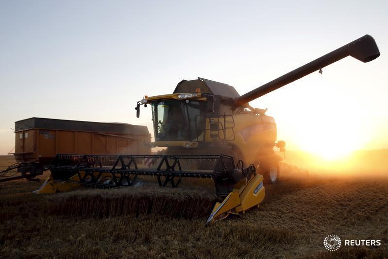 Wheat slips set for biggest weekly gain since June on supply risks Wheat slips set for biggest weekly gain since June on supply risks