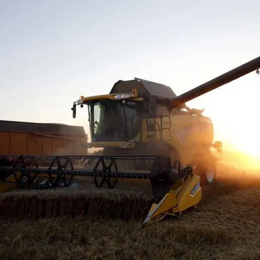 Egypt's new grains buyer struck rare deal for French wheat, sources say