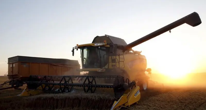 Egypt's new grains buyer struck rare deal for French wheat, sources say