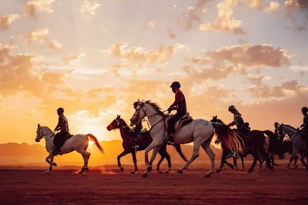 <p>Around 200 of the finest riders and horses from around the world participated at the Custodian of the Two Holy Mosques Endurance Cup in 2023</p>\\n