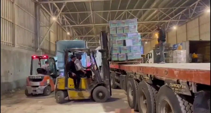 Egypt says it is pushing to accelerate aid delivery to Gaza